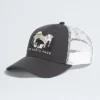 Czapka z daszkiem Mudder Trucker z haftem