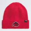 Czapka z daszkiem z logo TNF™