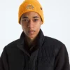 Czapka z daszkiem z logo TNF™