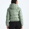 Damowa bluza z kapturem Hydrenalite™ Down Hoodie