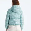 Damowa bluza z kapturem Hydrenalite™ Down Hoodie — nadruk