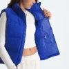 Damowa kamizelka 1996 Retro Nuptse DTM