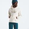 Damska bluza z kapturem Evolution Retro-Growth — grafika