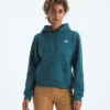 Damska bluza z kapturem Evolution Simple Dome Regular Hoodie