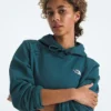 Damska bluza z kapturem Evolution Simple Dome Regular Hoodie