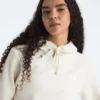 Damska bluza z kapturem Evolution Simple Dome Regular Hoodie