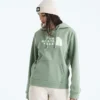 Damska bluza z kapturem Evolution Sketch Logo Half Dome — grafika