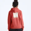 Damski sweter z kapturem Evolution Box NSE Fill Light — grafika