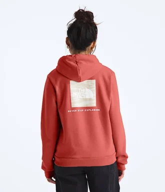 Damski sweter z kapturem Evolution Box NSE Fill Light — grafika