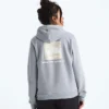 Damski sweter z kapturem Evolution Box NSE Fill Light — grafika