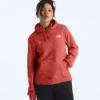 Damski sweter z kapturem Evolution Box NSE Fill Light — grafika