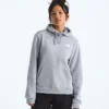 Damski sweter z kapturem Evolution Box NSE Fill Light — grafika