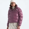 Kurtka damska 2000 Retro Nuptse