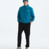 Męska bluza Evolution Simple Dome Regular ?-Zip