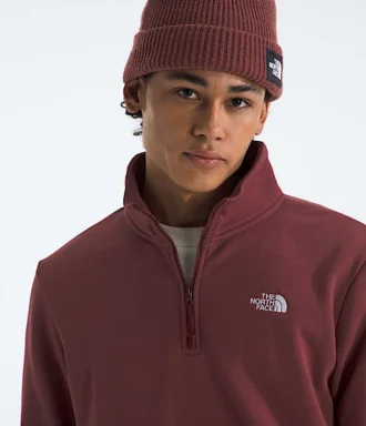 Męska bluza Evolution Simple Dome Regular ?-Zip