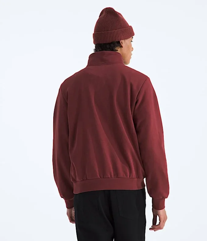 Męska bluza Evolution Simple Dome Regular ?-Zip