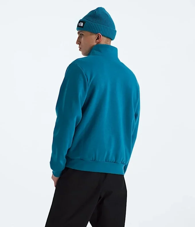 Męska bluza Evolution Simple Dome Regular ?-Zip