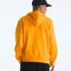 Męska bluza z kapturem Evolution BTS — grafika