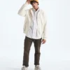 Męska bluza z kapturem Evolution Simple Dome Full-Zip