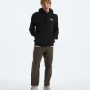 Męska bluza z kapturem Evolution Simple Dome Regular Hoodie