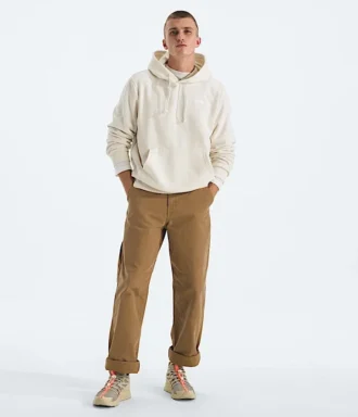 Męska bluza z kapturem Evolution Simple Dome Regular Hoodie