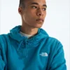 Męska bluza z kapturem Evolution Simple Dome Regular Hoodie