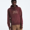Męska bluza z kapturem Evolution TNF™ Bear — grafika