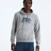 Męska bluza z kapturem Evolution TNF™ Bear — grafika