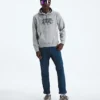 Męska bluza z kapturem Evolution TNF™ Bear — grafika