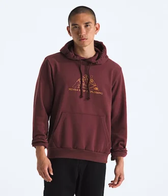 Męska bluza z kapturem Evolution TNF™ MTN — grafika