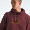 Męska bluza z kapturem Evolution TNF™ MTN — grafika