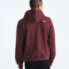 Męska bluza z kapturem Evolution TNF™ MTN — grafika
