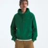 Męska bluza z kapturem TNF™ Essential Simple Dome Relaxed Hoodie
