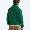 Męska bluza z kapturem TNF™ Essential Simple Dome Relaxed Hoodie