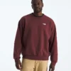 Męska koszulka Evolution Simple Dome Oversized Crew