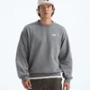 Męska koszulka Evolution Simple Dome Oversized Crew