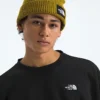 Męska koszulka Evolution Simple Dome Oversized Crew