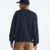 Męska koszulka Evolution Simple Dome Oversized Crew