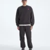 Męska koszulka TNF™ Red Box Crew