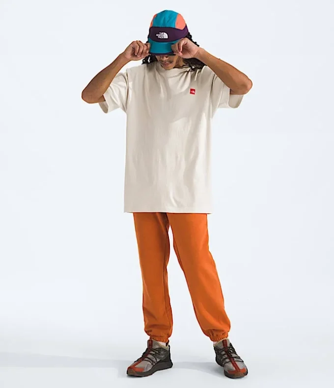 Męska koszulka z krótkim rękawem TNF Red Box Kilimanjaro Heavyweight Tee