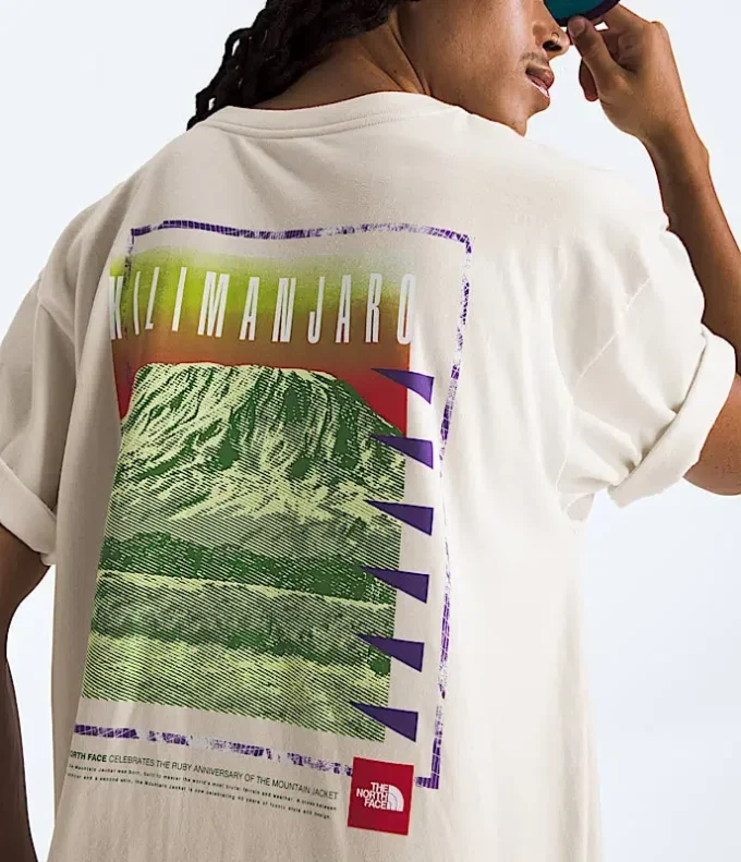 Męska koszulka z krótkim rękawem TNF Red Box Kilimanjaro Heavyweight Tee