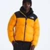 Męska kurtka 1996 Retro Nuptse