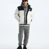 Męska kurtka 1996 Retro Nuptse