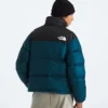 Męska kurtka 1996 Retro Nuptse