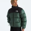 Męska kurtka 1996 Retro Nuptse