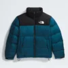 Męska kurtka 1996 Retro Nuptse