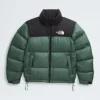 Męska kurtka 1996 Retro Nuptse