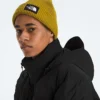 Męska kurtka RMST GORE-TEX® Nuptse Tek