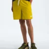 Męskie spodenki Action Shorts 2.0