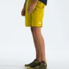 Męskie spodenki Action Shorts 2.0